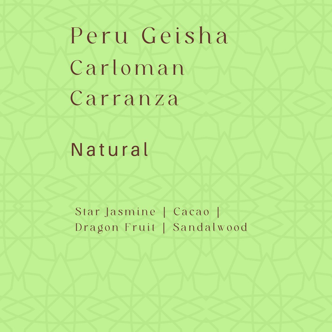 Peru Geisha - Carloman Carranza 秘魯藝伎