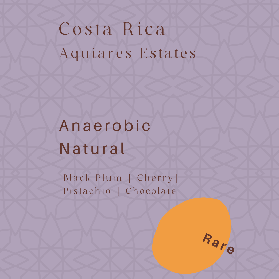 Costa Rica - Aquiares Estates