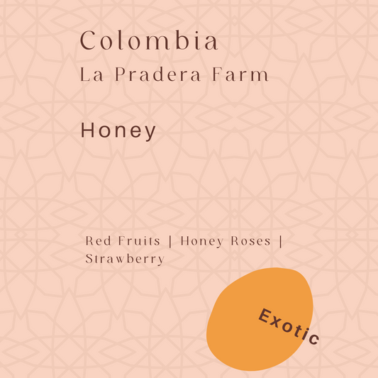 Colombian Exotic – Honey Strawberry 哥倫比亞異國風味 - 蜜糖士多啤梨