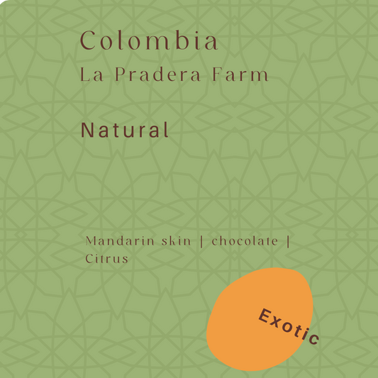 Colombian Exotic – Natural Mandarin 哥倫比亞異國風味 - 橘子