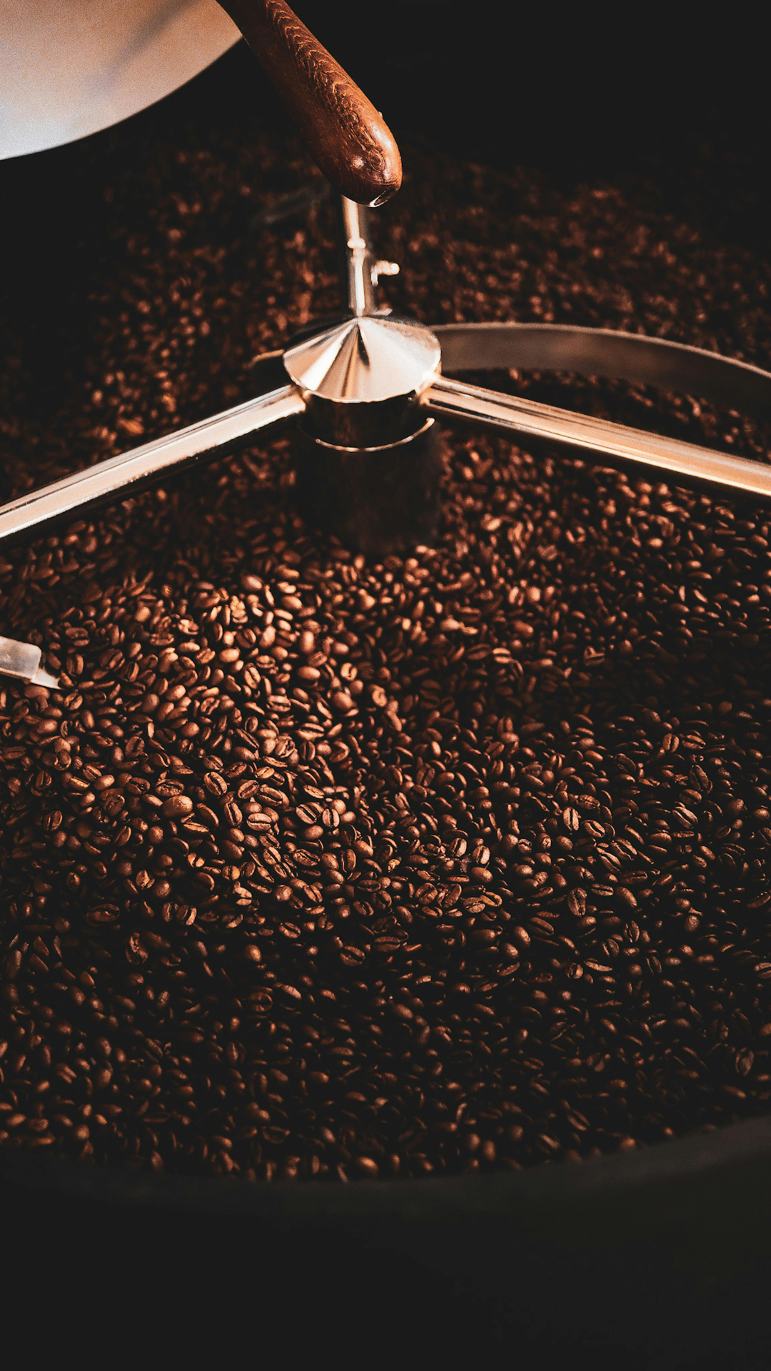 Fresh vs. Stale Coffee: How to Tell the Difference — and Why It Changes Everything
