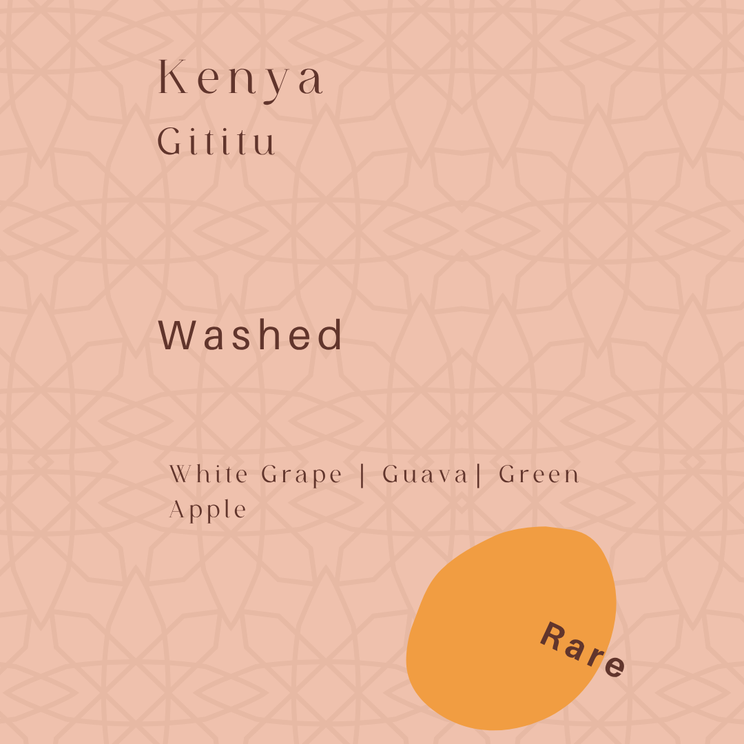 Kenya - Gititu