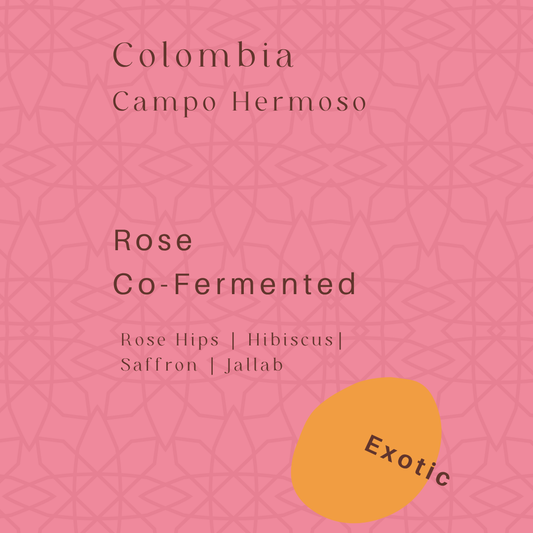 Colombia - Campo Hermoso - Rose