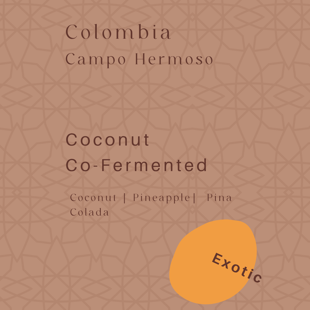 Colombia - Campo Hermoso - Coconut