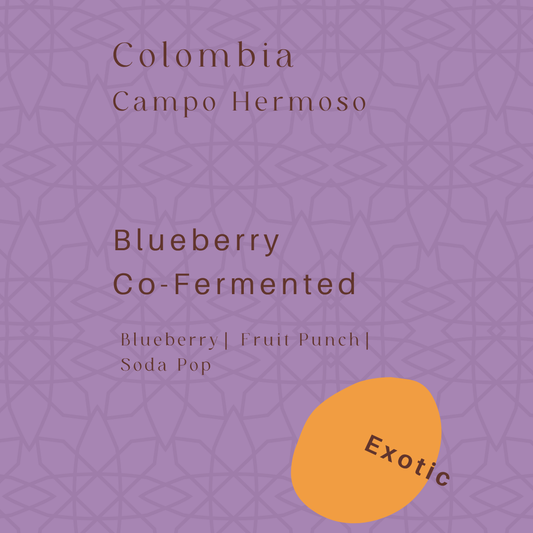Colombia - Campo Hermoso - Blueberry
