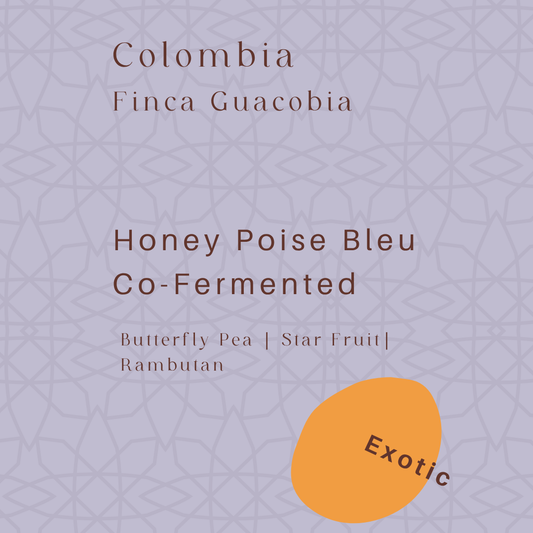 Colombia - La Secreta - Butterfly Pea